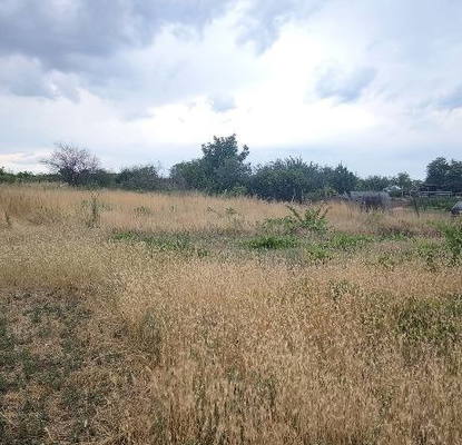 Photo 2 — Plot in Oblast Stara Zagora, Pravoslav