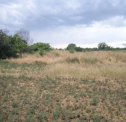 Photo 3 — Plot in Oblast Stara Zagora, Pravoslav