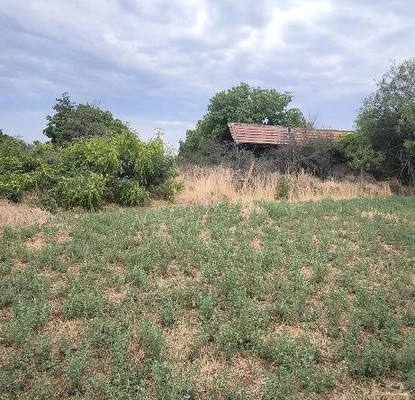 Photo 4 — Plot in Oblast Stara Zagora, Pravoslav