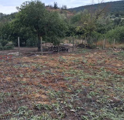Photo 4 — Plot in Oblast Varna, Pripek