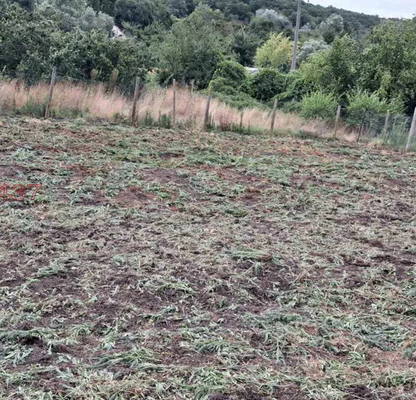 Photo 5 — Plot in Oblast Varna, Pripek