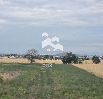 Photo 4 — Plot in Oblast Plovdiv, Pyrvenec