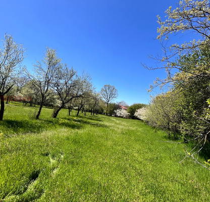 Photo 2 — Plot in област София, Ravnishte