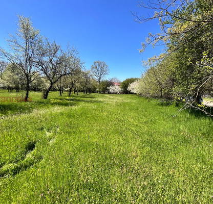 Photo 3 — Plot in област София, Ravnishte