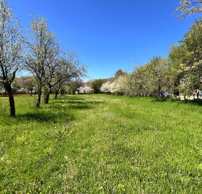 Photo 4 — Plot in област София, Ravnishte