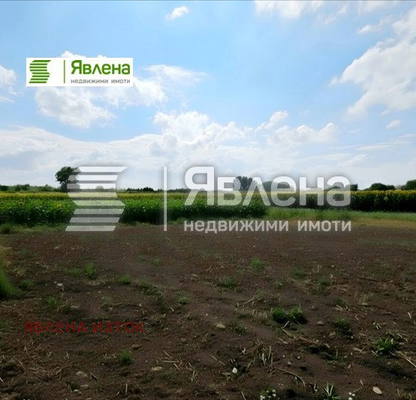 Photo 5 — Plot in област София, Ravno Pole