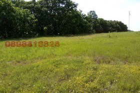 Plot in Oblast Burgas, Rezovo