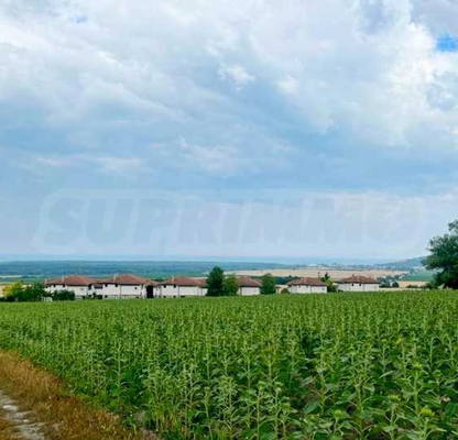 Снимка 3 — Парцел в Добрич, с. Рогачево