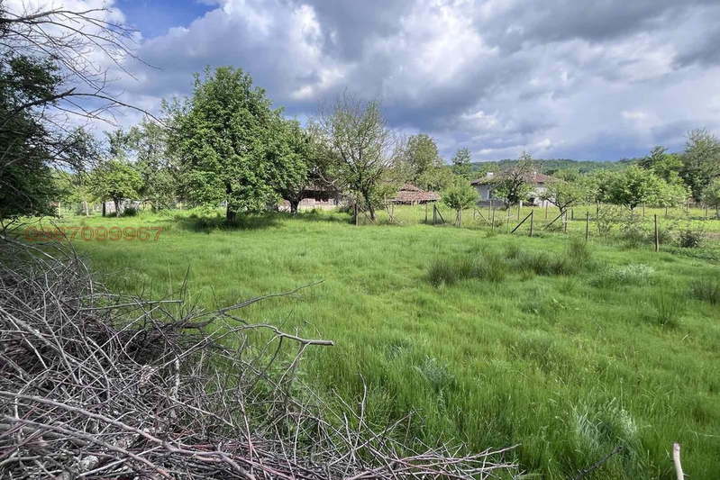 Plot in Oblast Veliko Tyrnovo, Ruhovci
