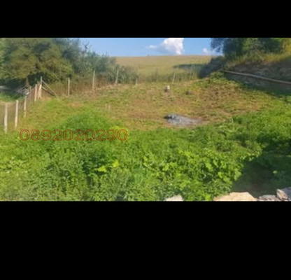 Photo 4 — Plot in Oblast Blagoevgrad, Satovcha