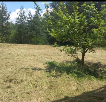Photo 2 — Plot in Sofia, Shiroki Dol