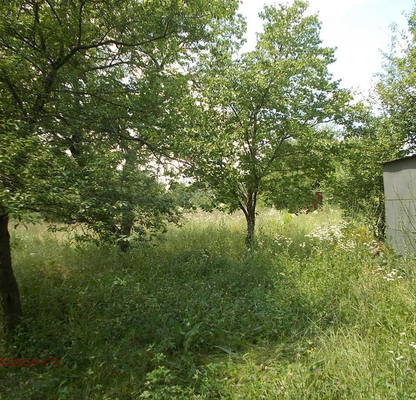 Снимка 5 — Парцел в Добрич, с. Славеево