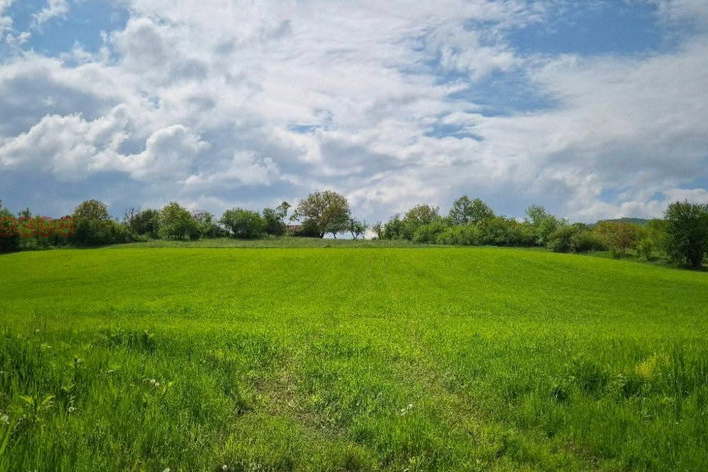 Plot in Oblast Veliko Tyrnovo, Slivovica