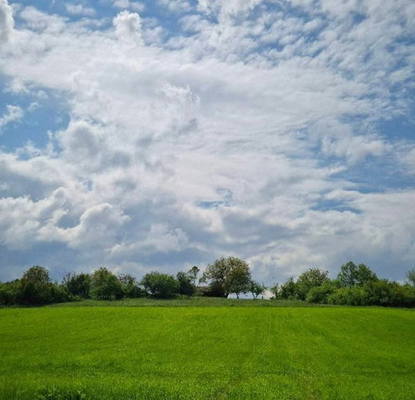 Photo 2 — Plot in Oblast Veliko Tyrnovo, Slivovica