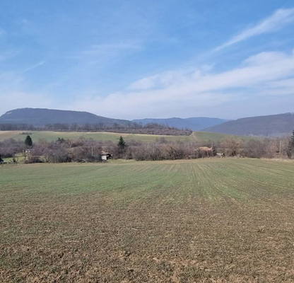 Photo 4 — Plot in Oblast Veliko Tyrnovo, Slivovica