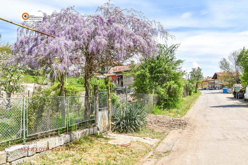 Plot in Oblast Kyustendil, Slokoshtica