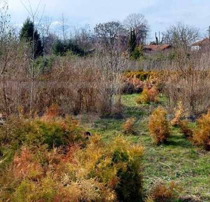 Photo 2 — Plot in Varna, Solnik