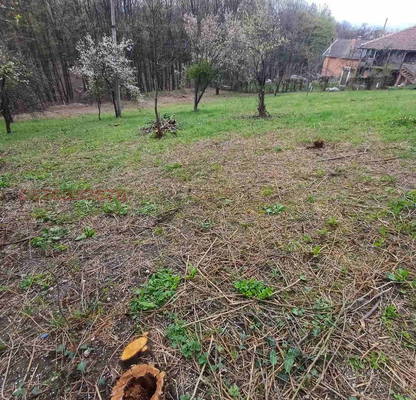 Photo 2 — Plot in Oblast Gabrovo, Stefanovo