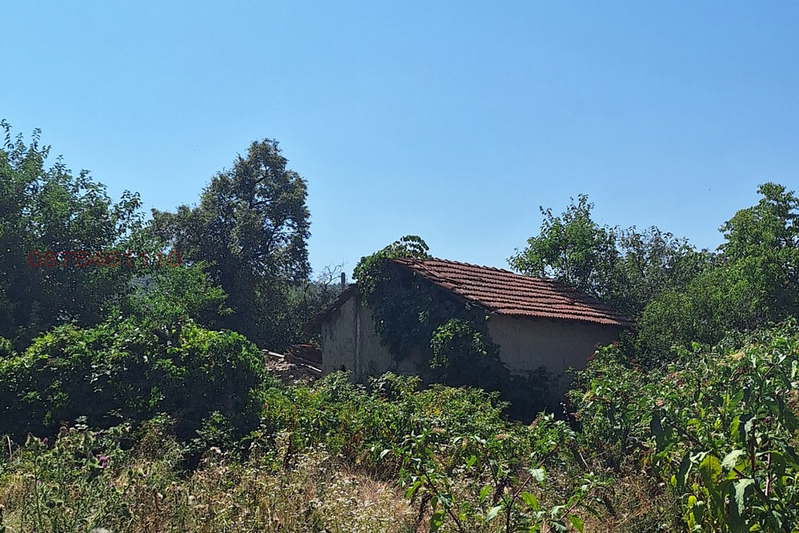 Plot in Oblast Kyustendil, Stob