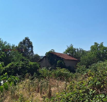 Photo 2 — Plot in Oblast Kyustendil, Stob
