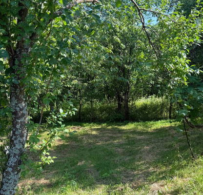 Photo 3 — Plot in Oblast Gabrovo, Stomanecite