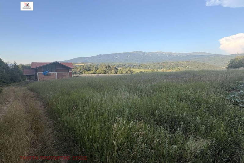 Plot in Oblast Pernik, Studena