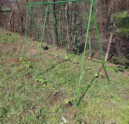 Photo 5 — Plot in Oblast Pernik, Studena