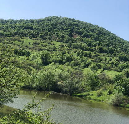 Photo 5 — Plot in Oblast Kyrdjali, Svoboda