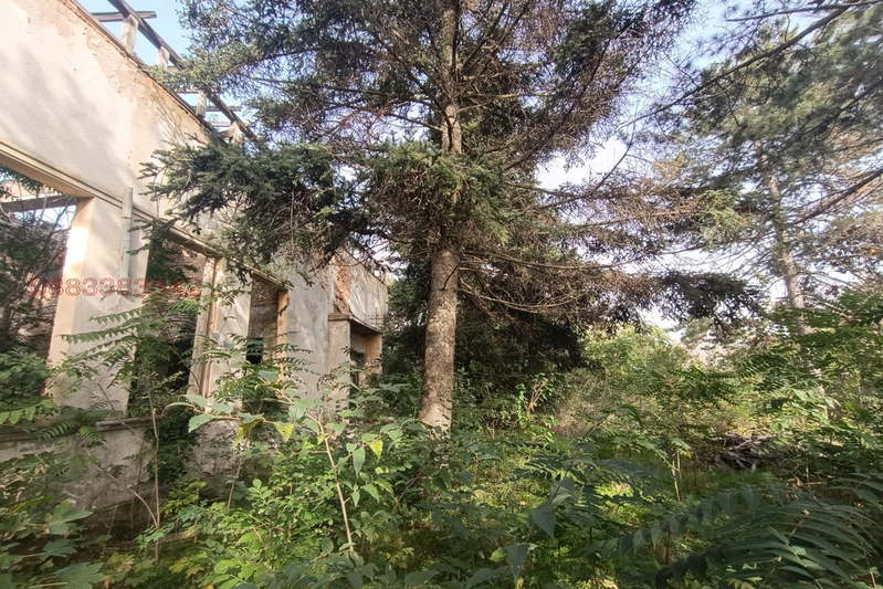 Парцел в Добрич, с. Сърнино