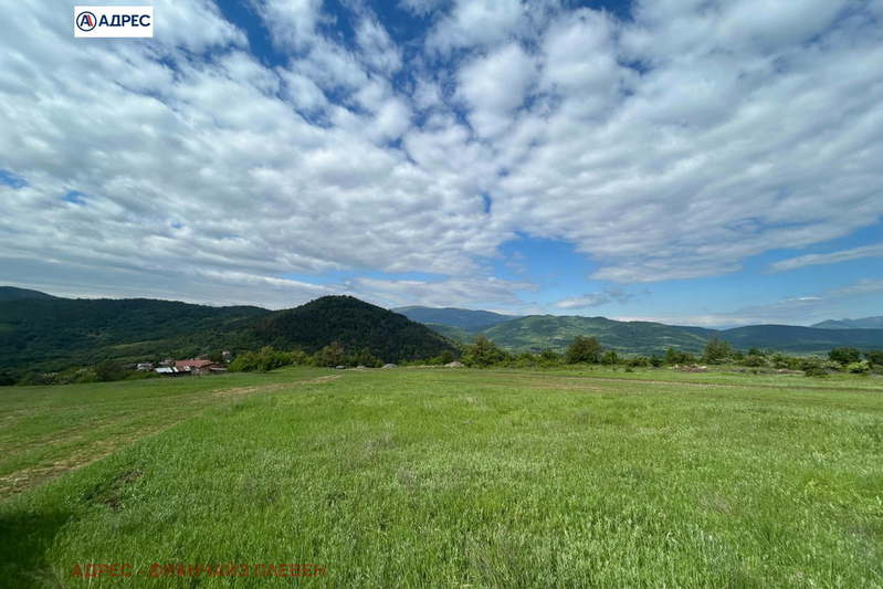 Plot in Oblast Vraca, с. Типченица