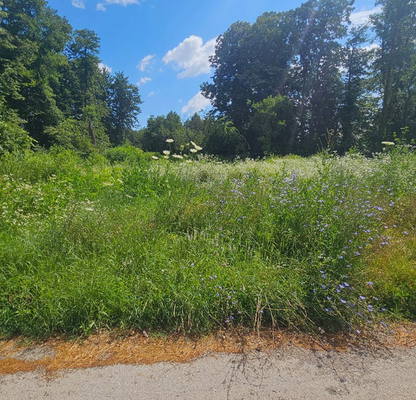 Photo 2 — Plot in област София, Trudovec