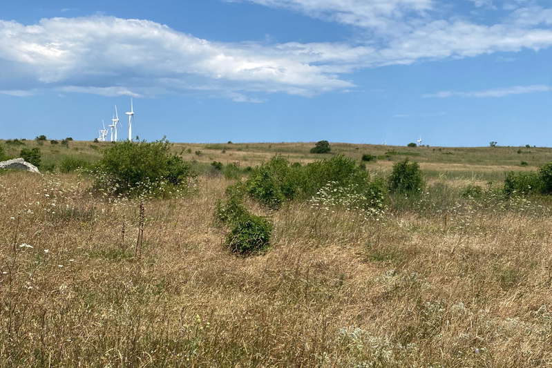 Парцел в Добрич, с. Тюленово