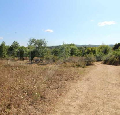 Снимка 5 — Парцел в Бургас, с. Варвара