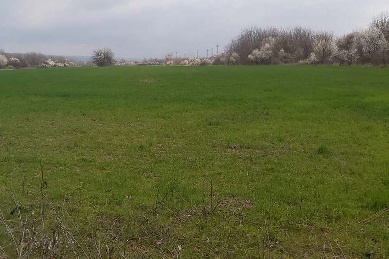 Парцел в Плевен, с. Ясен