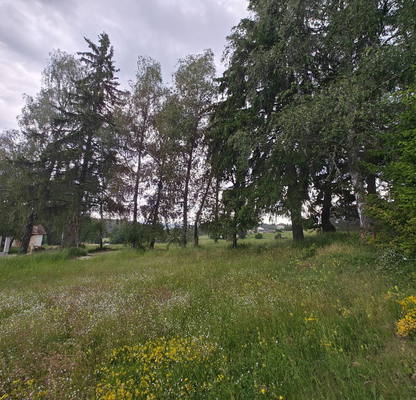 Photo 3 — Plot in Oblast Pazardjik, Yundola