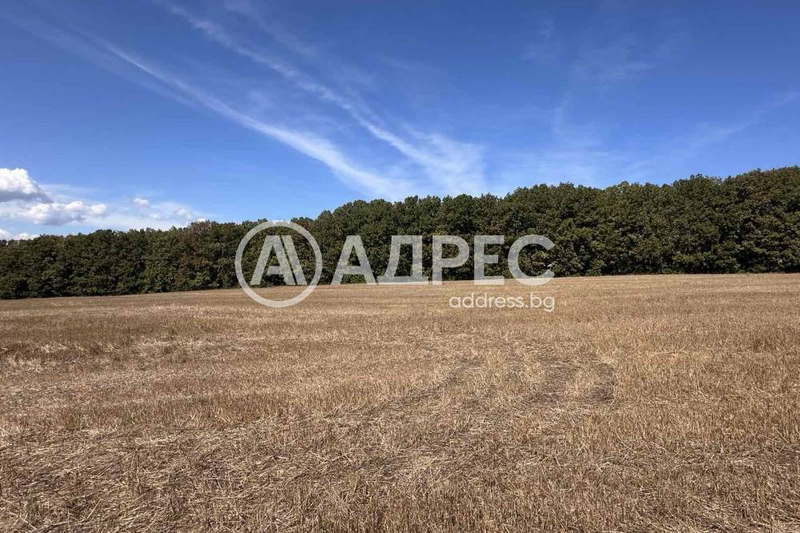 Plot in Oblast Varna, Yunec