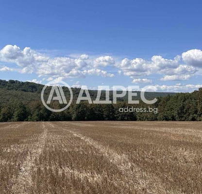 Photo 2 — Plot in Oblast Varna, Yunec