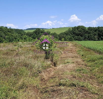 Photo 3 — Plot in Oblast Varna, Yunec
