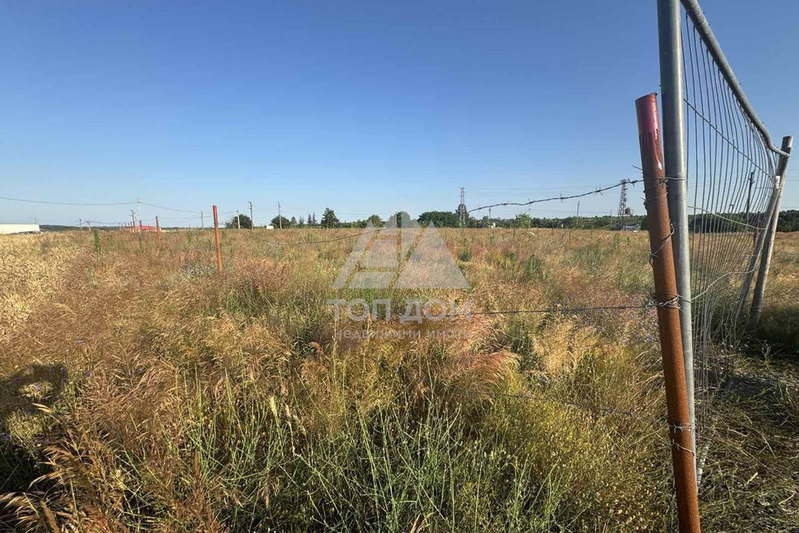 Plot in Zvezdica