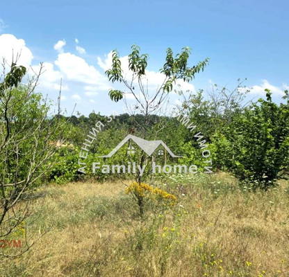Photo 2 — Plot in Zvezdica