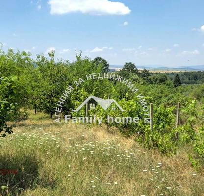 Photo 3 — Plot in Zvezdica