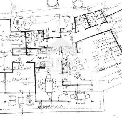 Photo 5 — Plot in Zvezdica