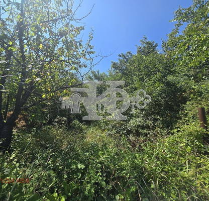 Photo 5 — Plot in Zvezdica