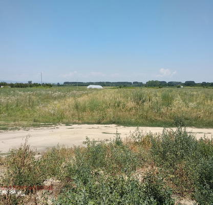 Снимка 5 — Парцел в Пазарджик, с. Звъничево