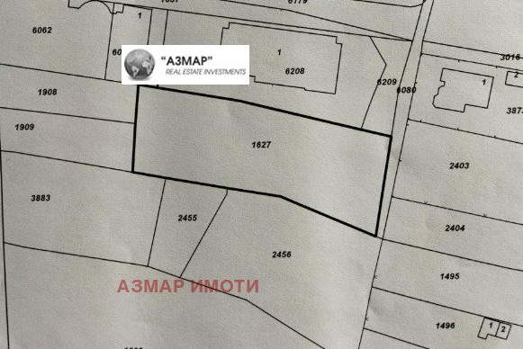 Парцел в София, Дървеница