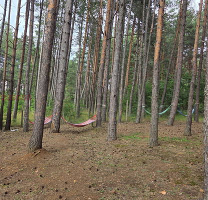 Снимка 4 — Парцел в София, м-т яз. Искър