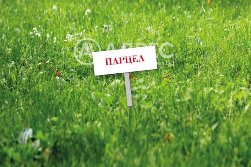 Парцел в София, Младост 1