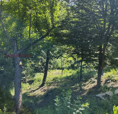 Photo 2 — Plot in Oblast Lovech, Teteven