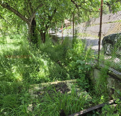 Photo 3 — Plot in Oblast Lovech, Teteven