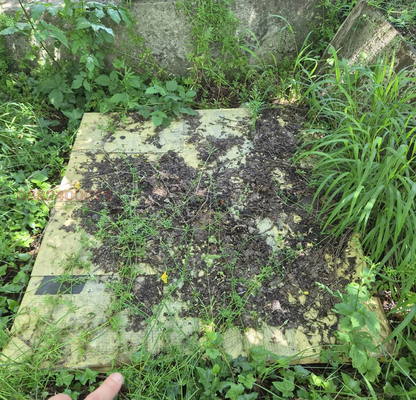 Photo 4 — Plot in Oblast Lovech, Teteven